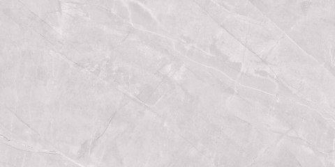Ceramstic TIGRINA LIGHT GREY POLER 60X120