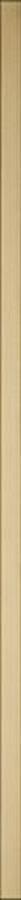 UNIWERSALNA LISTWA SZKLANA PARADYZ GOLD 2,3X89,8 UNIWERSALNA LISTWA SZKLANA PARADYZ GOLD 2,3X89,8