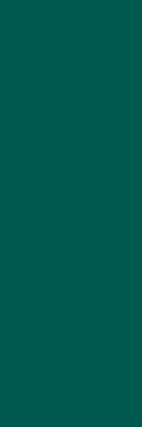 CERAMICA BIANCA DEEP GREEN 30X90