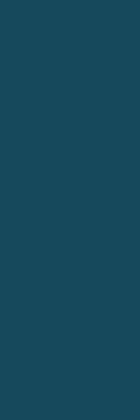 CERAMICA BIANCA DEEP OCEAN RETT. 25x75