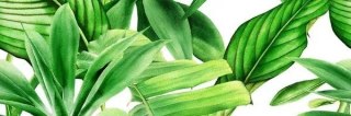 CERAMICA BIANCA GARDEN TROPIC DEKOR A RETT. 25x75