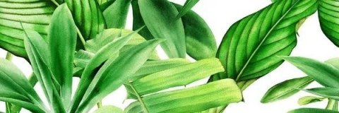 CERAMICA BIANCA GARDEN TROPIC DEKOR A RETT. 25x75 CERAMICA BIANCA GARDEN TROPIC DEKOR A RETT. 25x75