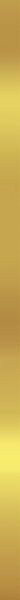 CERAMICA BIANCA LISTWA SUPER GOLD 2,5x75