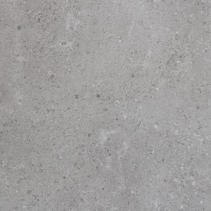 GRIS FLEURY 20 GRIGIO RT 60x60 GRIS FLEURY 20 GRIGIO RT 60x60