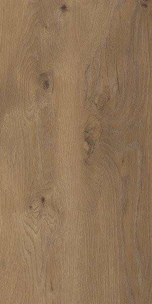 STARGRES TAIGA BROWN GRES SZKL. 30X60